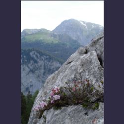 2007-05_09Saletsteig (092).JPG
